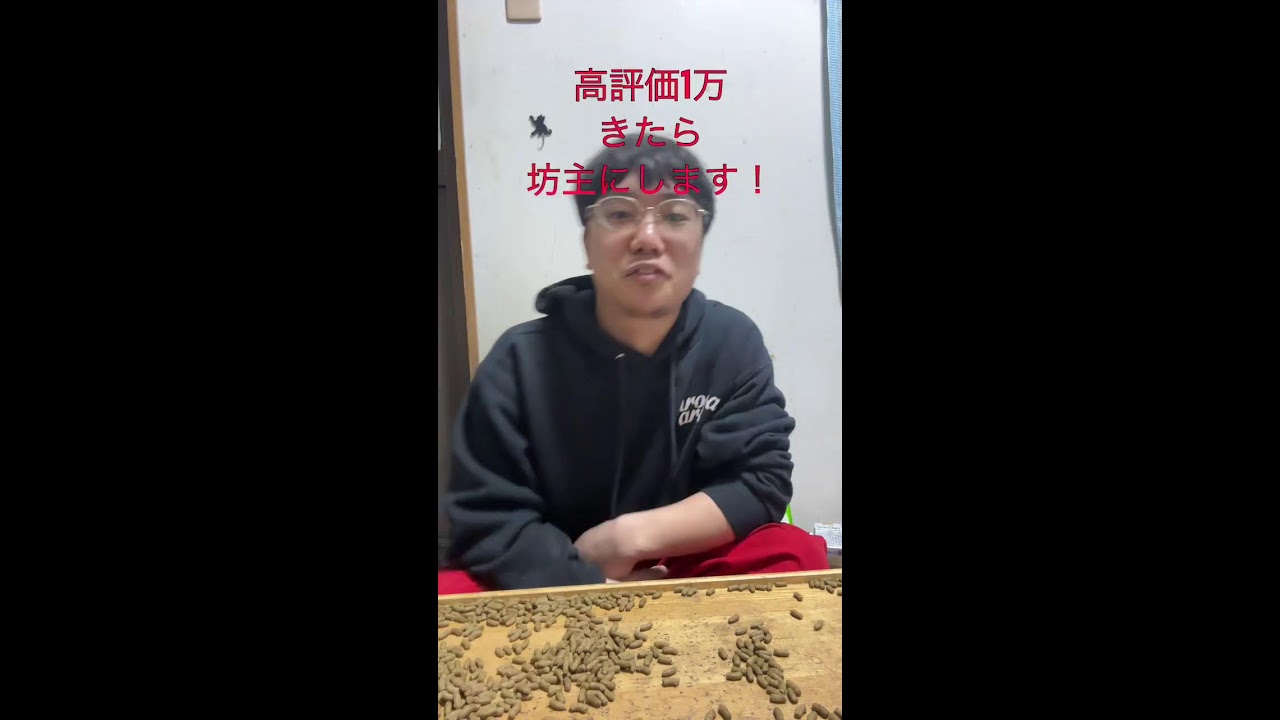 配信終わらせて！