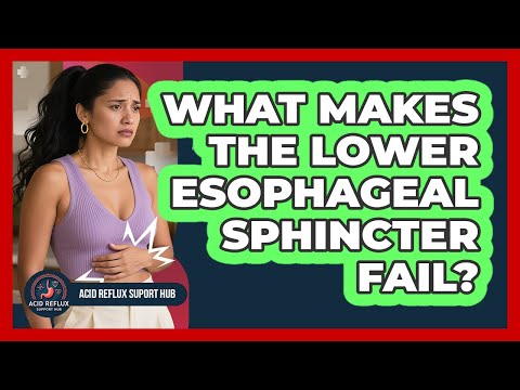 What Makes The Lower Esophageal Sphincter Fail? - Acid Reflux Support Hub