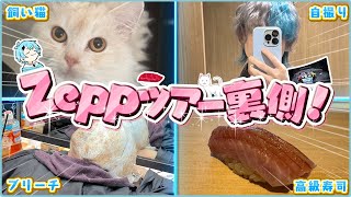 最初から事故まみれww - 【そらねこクイズ】この後のそらねこの行動を当てろ!