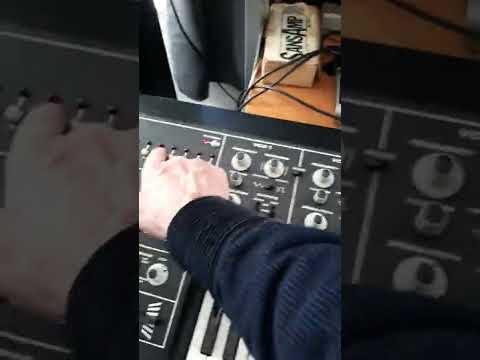 Oberheim OB-1 analog monophonic synth- Just back from the shop!