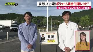 【献立予報】旬＆お得な食材と簡単レシピを紹介するコーナー！夕飯献立の参考に…今回は｢白菜｣(静岡)