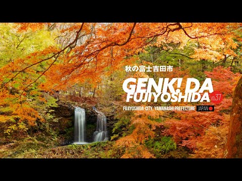 ［広報ふじよしだ］元気！だふじよしだ12月号は富士吉田市の紅葉です。是非ご視聴ください。