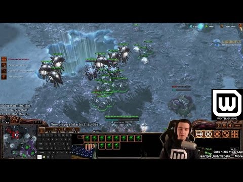 Learn to play Starcraft (Zerg) - Live Commentary/Tutorial Oct 11 16