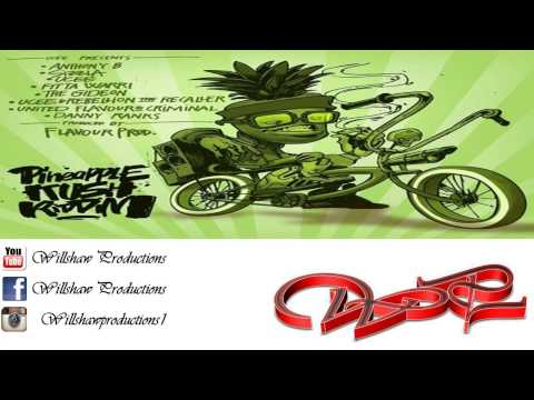Pineapple Kush Riddim Video Mix