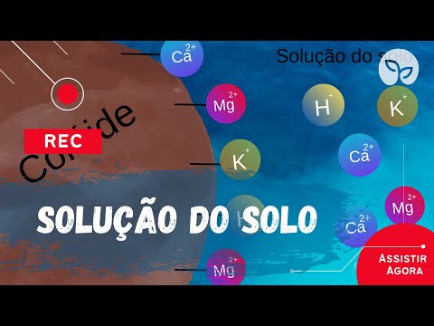 MANEJO ECOLÓGICO DO SOLO | Entenda o que é a solução do solo.