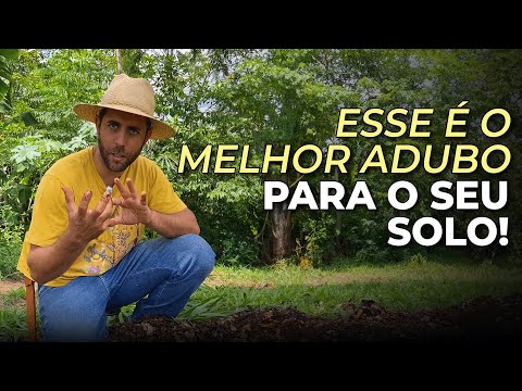 Como fazer o melhor adubo para um solo orgânico e cheio de vida!