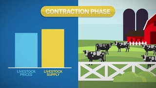 Understanding Livestock Seasonality