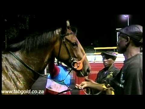 Greyville 27122013 Race 9 with interview
