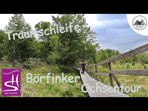 Traumschleife "Börfinker Ochsentour" mit dem Outdoorbuddy / 54422 Börfink / Wanderung