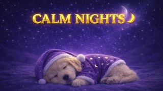 Sleep Music for Dogs with Anxiety 🐶💤 Calm Your Pet 🌙