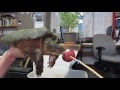 Viral Video UK Snapping Turtle Devours Apple