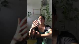 ヨーロッパから帰りました。