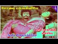 Sola Pasunkiliye Video Song En Rasavin Manasile Movie Songs Rajkiran Meena Ilaiyaraaja