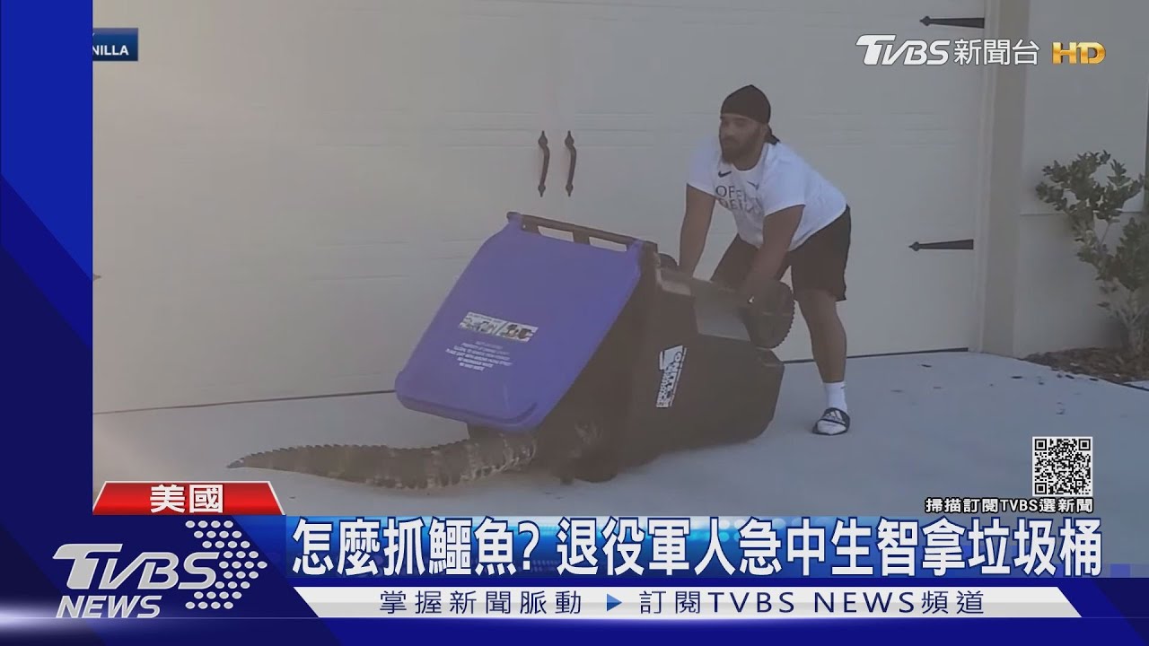 家門前有鱷魚怎麼辦? 美退役軍人妙計抓鱷魚