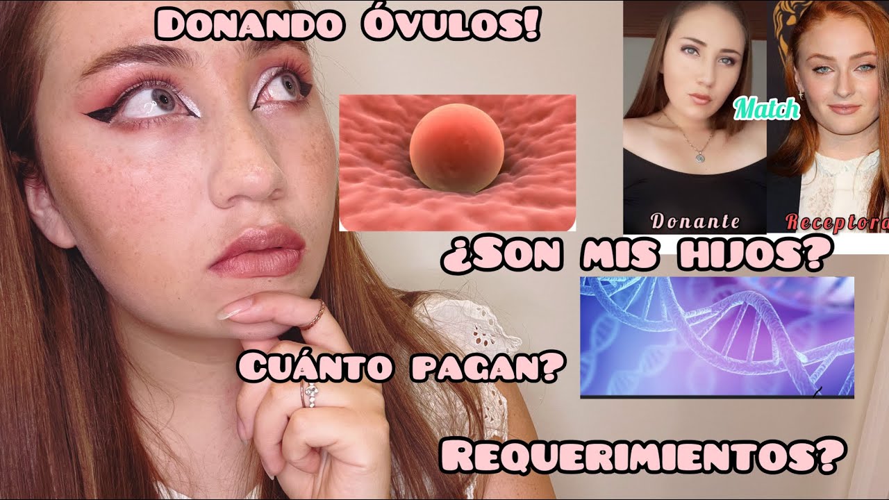 Donación de Óvulos ¿Que es ¿Como funciona Pagan Te cuento todo desde mi experiencia! 👩🏼
