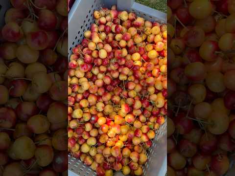 Conociendo GAIMAN, CHUBUT.