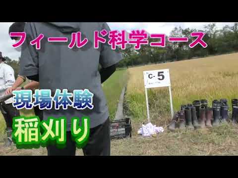 【フィールド科学コース】現場体験（稲刈り）
