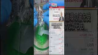 #日本株 #株初心者 #株式投資 #投資の勉強 #資産運用 #お金の勉強 #資産形成 #配当金活 #長期投資