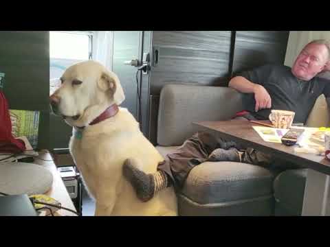 Akun kesäpesä 8.6.