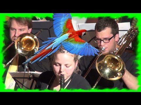 Flight of the Foo Birds - Big Band