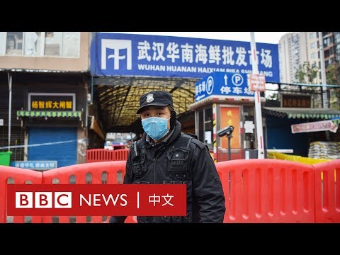 武漢解封：菜市場生意慘淡 店主稱「海鮮有消毒的」－ BBC News 中文