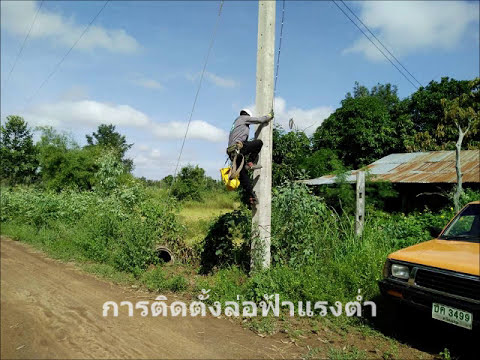 ที่จะซื้อภาพแรง เมล็ดขี้เหล็กคิดเห็นพรู