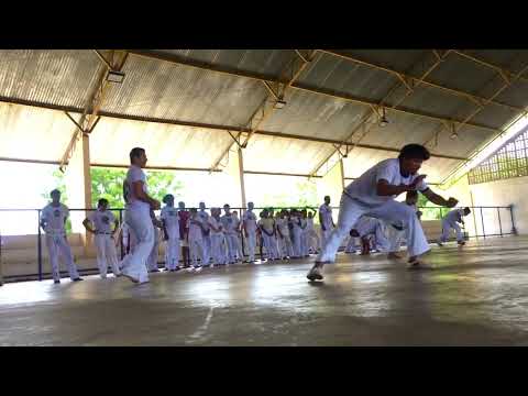 Alliança capoeira Batalha/PI Aula com mestre Louro #capoeira#capoeirabrasil#capoeiramoves#viralvideo