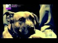dj hype presents the ganja kru - super sharp ...