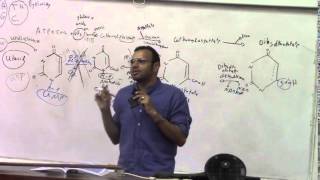 Dr.Mohamed ElSebaie 9/4/2015 [pyrimidine metabolism- well fed state]