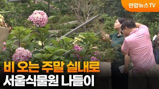 비 오는 주말 실내로…서울식물원 나들이 / 연합뉴스TV (YonhapnewsTV)