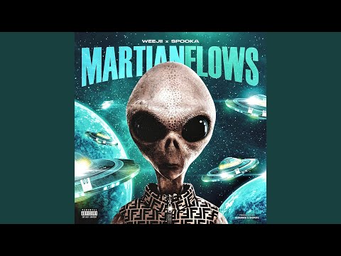 Martian Flows