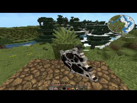 Koli Hraje Minecraft 1 Díl - Vesnice O_o