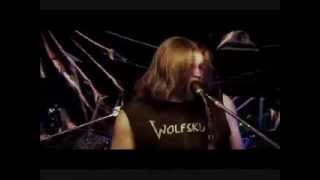Wolfskin - From the Ashes