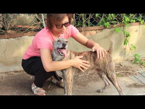 Samiya meets stranger