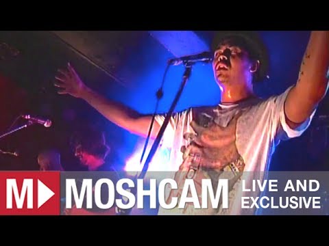 The Temper Trap - Science Of Fear | Live in Sydney | Moshcam