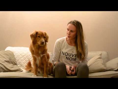 download lagu mp3 mp4 Sofa Nova Scotia, download lagu Sofa Nova Scotia gratis, unduh video klip Sofa Nova Scotia