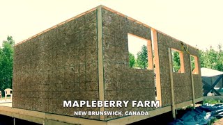 CABIN BUILD | We're in a HEAT WAVE! Framing Continues....