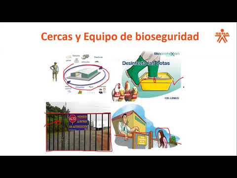 , title : 'Clase Instalaciones y Equipos Avícolas. Curso Gallinas Ponedoras. Maicao, La Guajira.'