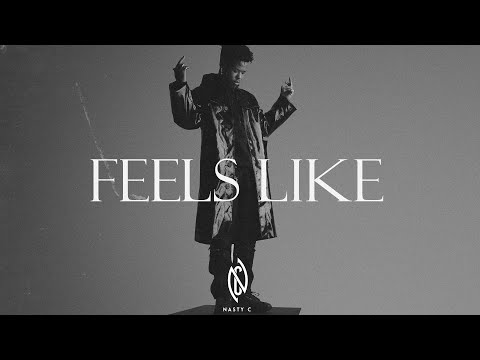 Nasty C x Ari Lennox Type Beat "Feels Like" | R&B HipHop Instrumental 2022 | N-SOUL x NOD
