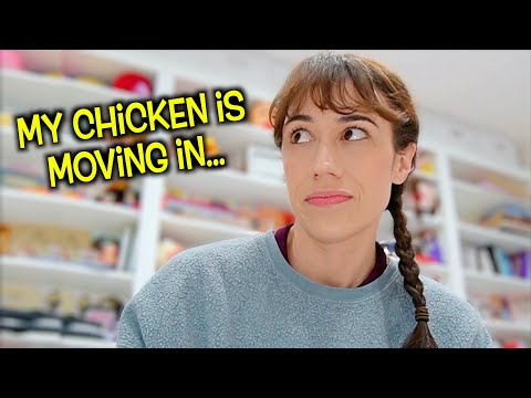 Christmas Eve, a Chicken Attack, and Original Songs by my 4 year old