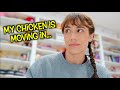 Christmas Eve A Chicken Attack And Original Songs By My 4 Year Old