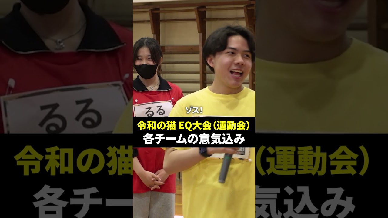 運動会への意気込みは…！#令和の猫 #令和の虎じゃないよ #山本康二