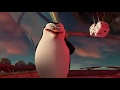 Caida Del Avion Madagascar 3