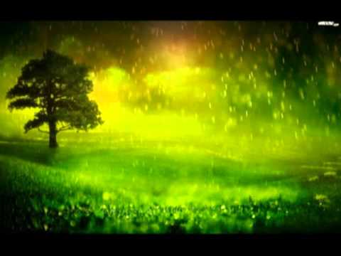 Fokus - Spacer (feat Śliwka Tuitam) (Lucesh Remix)