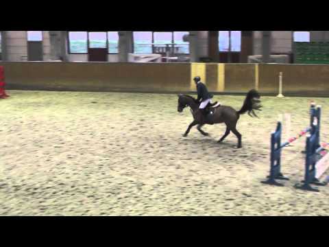 5j. St. v. Chap I (Cellestial) - San Juan