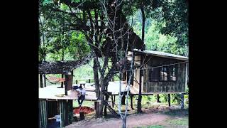 ฤดูกาล – เรืองฤทธิ์ ft. Warin & คลีโพ
