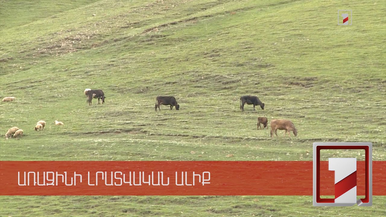 Պետական համաֆինանսավորմամբ կբարեկարգվեն հեռագնա արոտավայրերի ճանապարհները