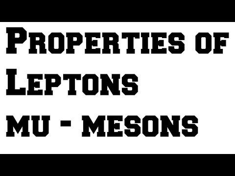 Muon, mu meson properties of lepton in Particle physics