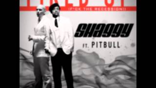 Shaggy ft. Pitbull - Fired Up hq
