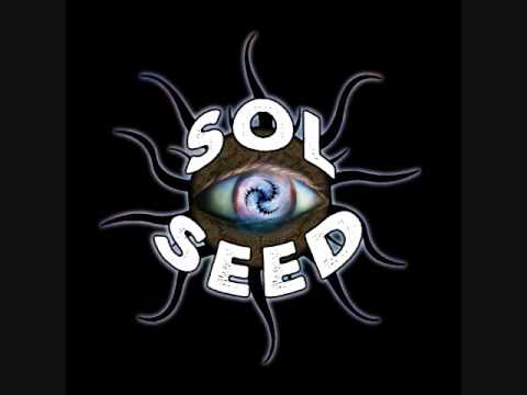 Sol Seed Wisdom of the Turtle